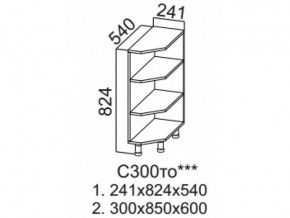 С300то Стол-рабочий 300 (торцевой открытый) в Артёмовском - artyomovskij.магазин96.com | фото