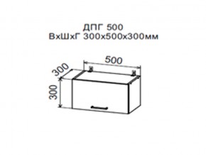 Шкаф верхний ДПГ500 горизонтальный в Артёмовском - artyomovskij.магазин96.com | фото