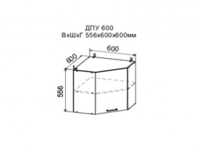 Шкаф верхний ДПУ600 угловой в Артёмовском - artyomovskij.магазин96.com | фото
